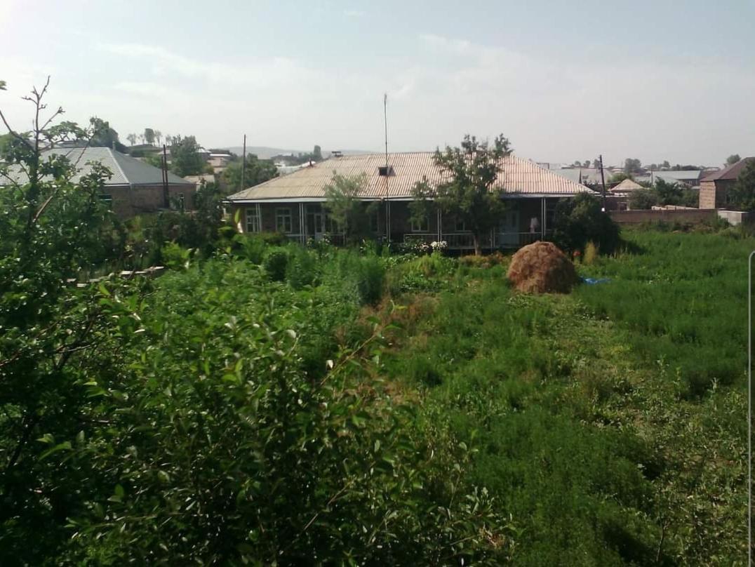 The Lichk Lodge Exterior photo