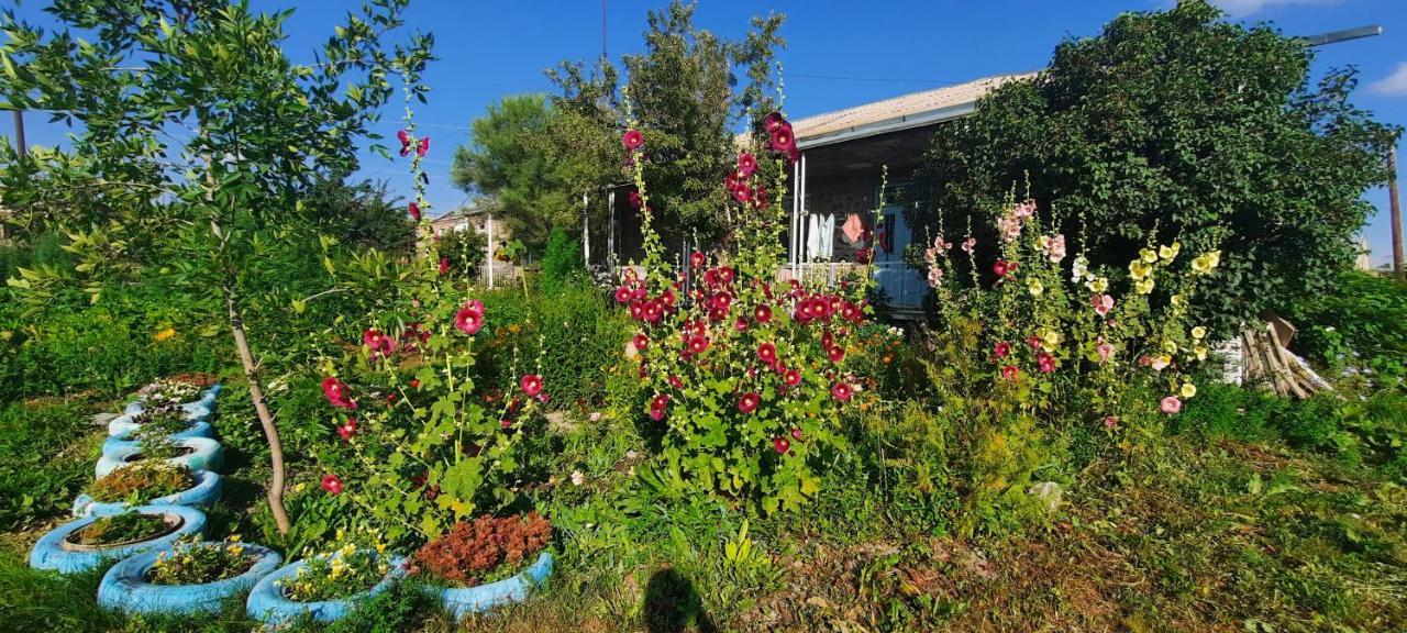 The Lichk Lodge Exterior photo